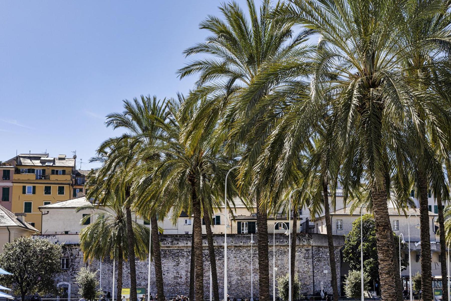 Alle Mura Del Molo Apartment By Wonderful Italy เจนัว ภายนอก รูปภาพ